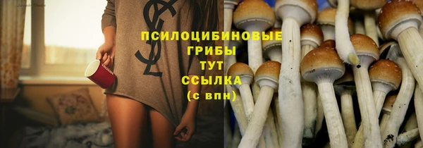 мескалин Алексин